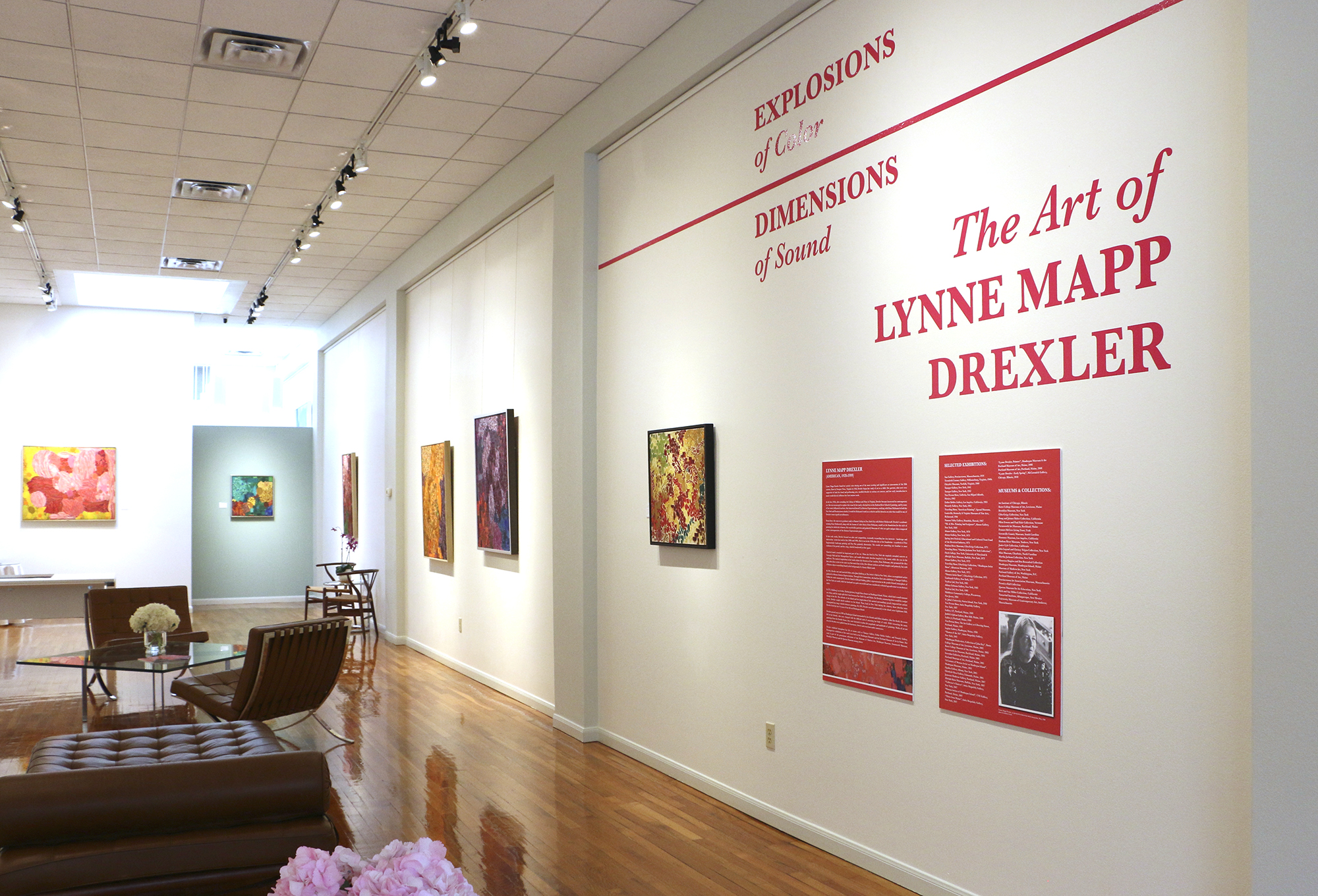 Explosions of Color | Dimensions of Sound: The Art of Lynne Mapp
